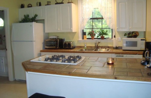 Tallassee Cabina | Ni conducir la "cola del dragón" - Smoky Mountain Cabin, Tallassee, Tn