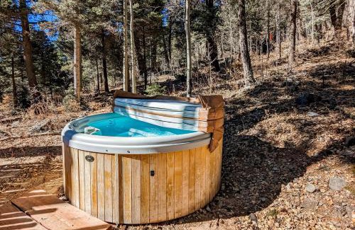 Taos Ski Valley Casa | Ridgerunner Cabin