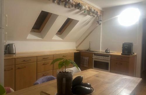 Lauchhammer Apartamento | Rim Ferienwohnung in Lauchhammer Dachgeschoss 100 qm