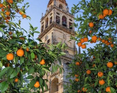 La Trinidad-San Juan y Todos los Santos Apartamento | Rincón de San Nicolás Apartment