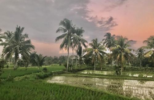 Kotaraja Casa | Rinjani Terrace Cottage