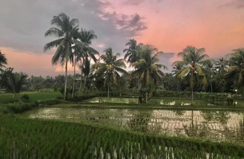 Kotaraja Casa | Rinjani Terrace Cottage