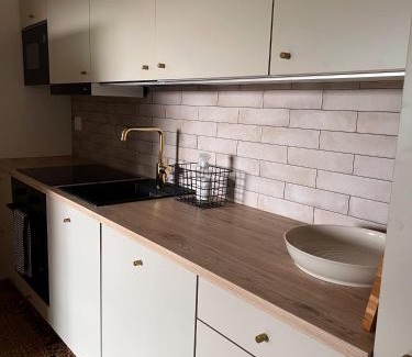 Rukatunturi Apartamento | Rinneköngäs