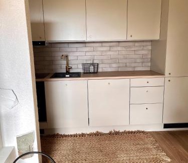 Rukatunturi Apartamento | Rinneköngäs