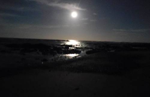 Junquillal Cabina | Rita & Sonny Tropical 'surf' Cabina