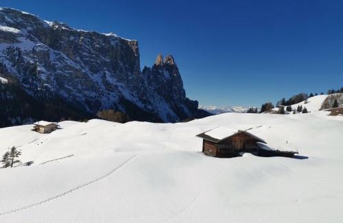 Castelrotto Apartamento | Ritschhof