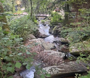 Monschau Casa | Rivendell 9