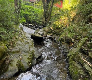 Monschau Casa | Rivendell 9