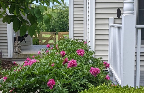 Sheffield Casa | River Orchard Meadow