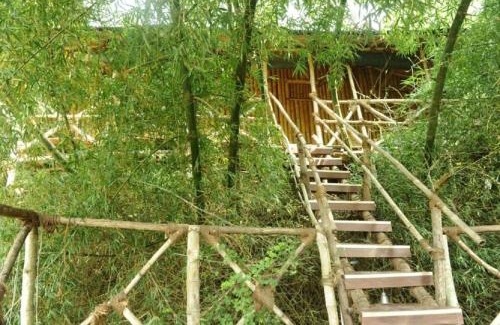 Masinagudi Complejo | River Valley Resort