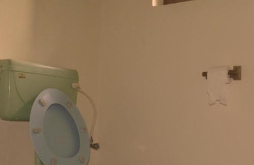 Sauraha Complejo | River View Jungle Camp