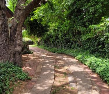 Vredefort Casa | Riverbush Lodge Guesthouse