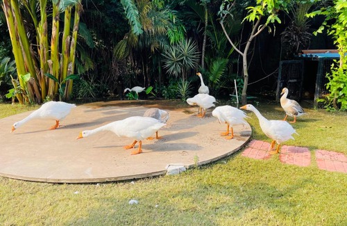 Mayapur Cama Y Desayuno | Riverview Boutique Hotel & Restaurant