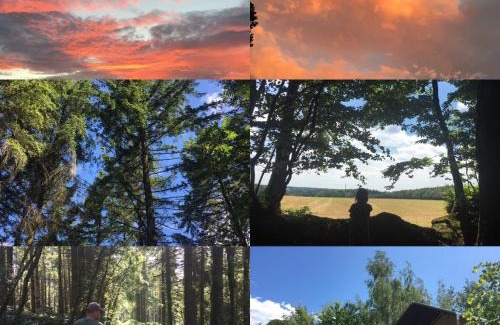 Westcott Otro | Riverwood Farm Glamping Safari Tent