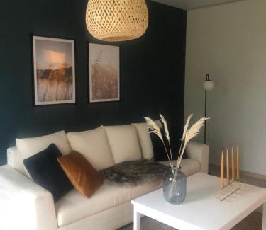 Ylivieska Apartamento | Rivitalon päätyasunto omalla saunalla 6