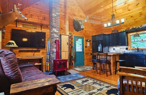 Northeast Somerset Cabina | Rockwood Retreat*Pet Friendly*Lake Access*Peaceful