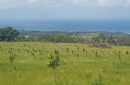 Hibiscus Coast Apartamento | Rocky Ridge Farm Cottage