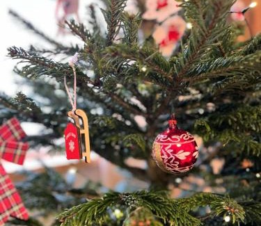 Drienica Casa | Rodinná chata v rekreačnej oblasti DRIENICA