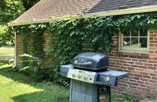 Watseka Casa | Roff Home: Award-Winning 1868 Victorian Italianate Villa