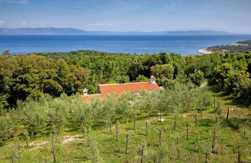 Duga Luka Casa | Roinizza in Prtlog (Haus für 4-5 Personen)