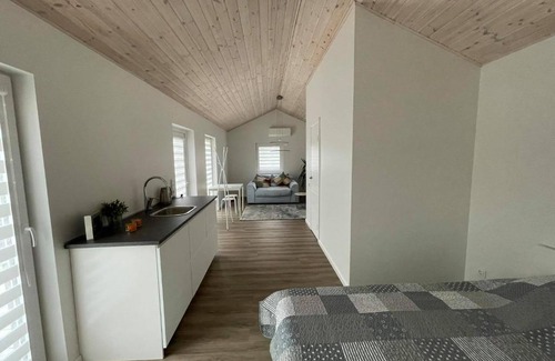 Anyksciai Apartamento | ROKO house