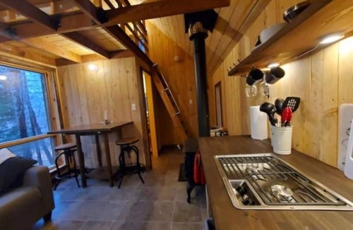 Saint-Etienne-De-Bolto Cabina | Romantic eco-cottage with mezzanine: La Perdrix