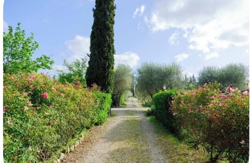 Grassina Cama Y Desayuno | Romantic bedroom in +600years old villa, with pool view