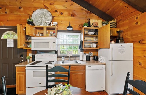 Sautee Nacoochee Cabina | Romantic Cabin near Helen | Hot Tub | Fireplace