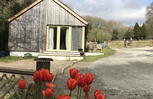 Tavistock Cabina | Romantic hideaway on Dartmoor national park