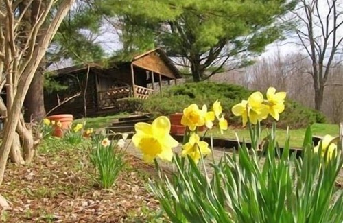 Stanfordville Cabina | Cabaña romántica en un lago privado con chimenea
