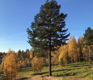 Strombacka Otro | Romantic night in a dome tent lake view