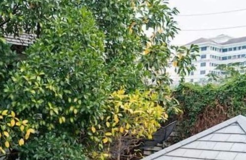 Bang Lamung Villa | Romantic Thai Villa