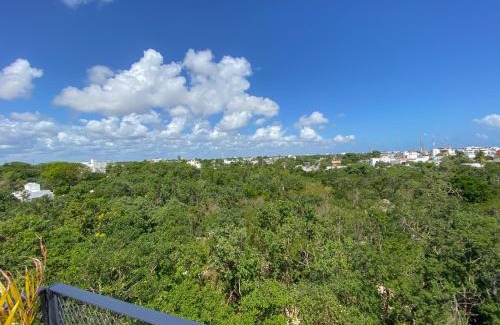 Ejidal Apartamento | Roof top Condo - Privileged view - 100MbWfi