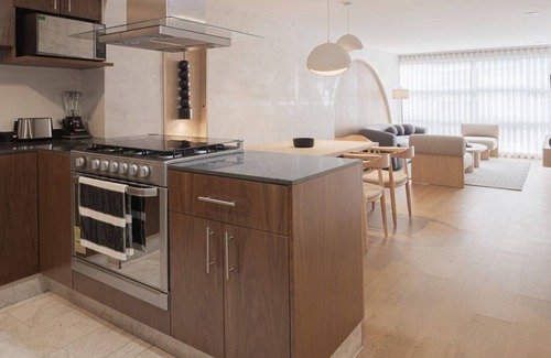 Hipódromo Apartamento | Rooftop Apartment in Condesa