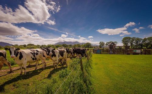 Killarney Apartamento | Rookery Mews Apartments - Killarney Self Catering