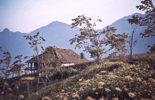 Sa Pa Apartamento | Room 7 : Dahlia - Greenland Sa Pa Hotel by DLMH