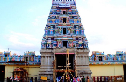Anaimalai Casa | Room in Lodge - Royal Cottage, Anaimalai Multiple Room