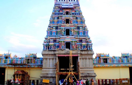 Anaimalai Casa | Room in Lodge - Royal Cottage, Anaimalai
