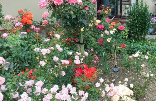 Heligan Casa | Rose Cottage