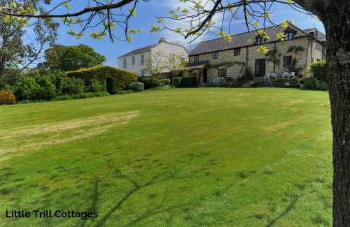 Axminster Casa | Rose Cottage
