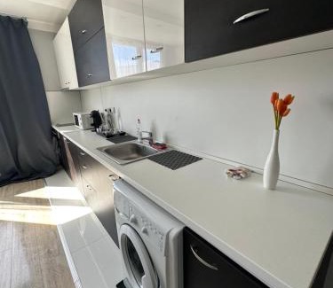 g.k. Strelbishte Apartamento | Rose's apt - NEWLY REFURBISHED, South park, Free Parking, Mountain View, self check-in, close to metro, stores, family-friendly