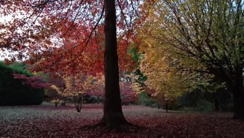 Waikuku Casa | Rose & Stream Retreat