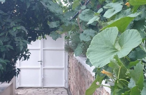 Lukove Apartamento | Rosemary House 3