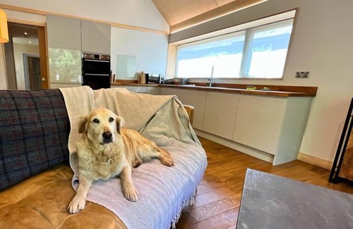 Ammanford Cabina | Rosemary Lodge 2BR + Hot Tub & Sauna Sleeps 4