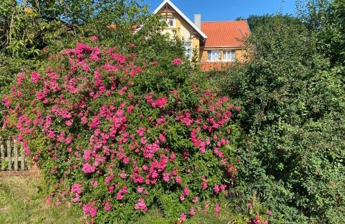 Vethem Apartamento | Roseneck am Neulandhof Spöring