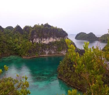 Pulau Fam Casa | Rosye homestay raja ampat