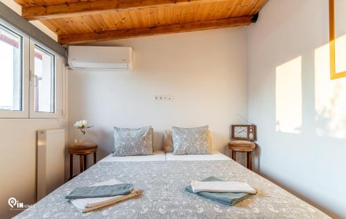 Aigaleo Apartamento | Roustic House With Roof Garden