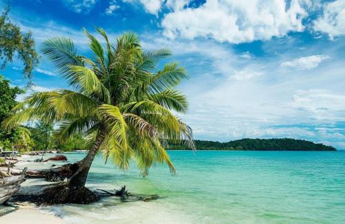 Koh Rong Complejo | Royal C Resort