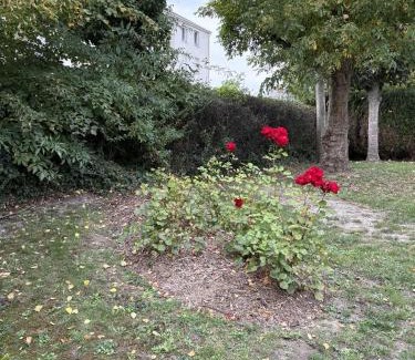 Armentieres Apartamento | Rozenhof - Appartement au coeur d'Armentieres