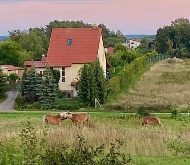 Stolzenhagen Apartamento | Ruhe und Erholung 1h von Berlin